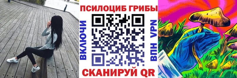 Псилоцибиновые грибы Magic Shrooms  что такое наркотик  Приволжск 