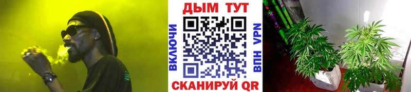 Каннабис план  кракен ссылки  Приволжск  где продают  