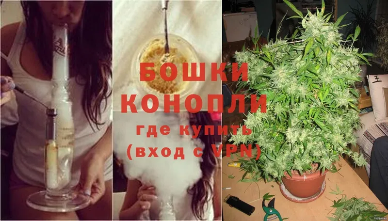 Канабис OG Kush  Приволжск 